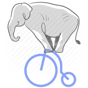 animal, pet, elephant, bike, bicycle, circus